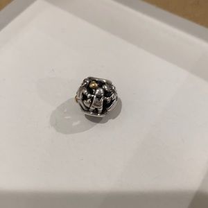 Pandora Charm